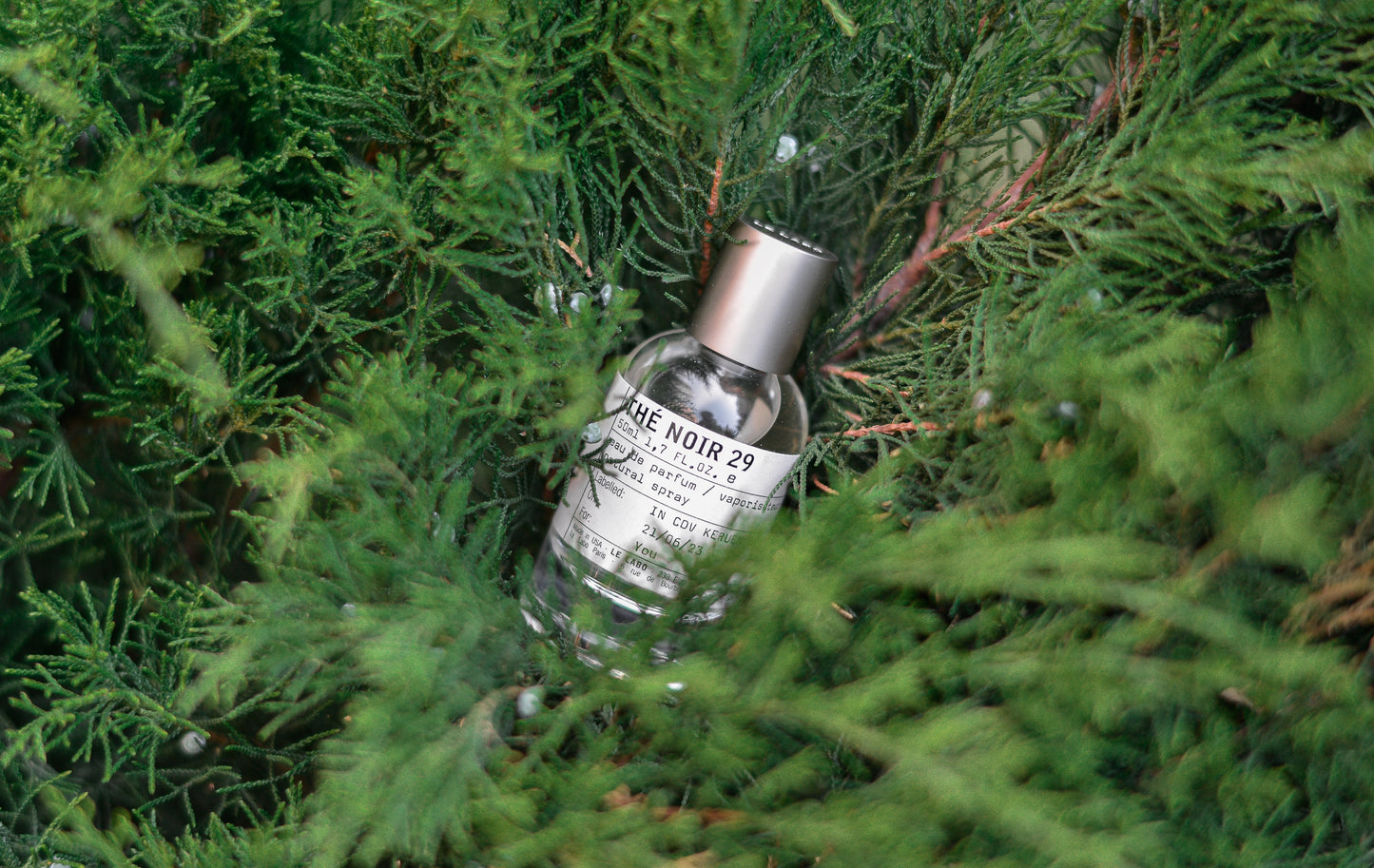 Le Labo the noir 29 decant